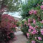 Studette, Terrasse Chauffée, Grand Parking Et Piscine
