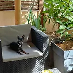 Privatunterkunft Studette, Terrasse Chauffée, Grand Parking Et Piscine Quissac (Gard)