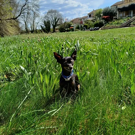 Privatunterkunft La Studette Cosy D'eve 10m2, Grand Parking Et Terrasse 18m2 Abritee *