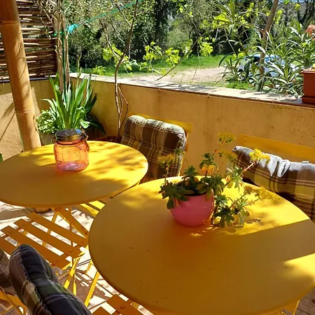 10m2, Terrasse 18m2 , Parking, Piscine Et Accueille Les Animaux Homestay *