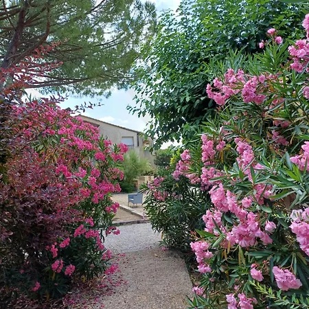 10m2, Terrasse 18m2 , Parking, Piscine Et Accueille Les Animaux