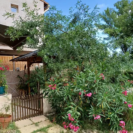 Studette Cosy 10m2, Terrasse 18m2, Grande Piscine Et Parking Privé Alloggio in famiglia Quissac (Gard)