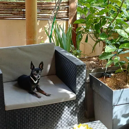 홈스테이 Petit Studio, Belle Terrasse, Piscine Et Parking Prive Quissac (Gard)