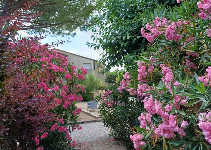 Studette, Terrasse Chauffee, Grand Parking Et Piscine